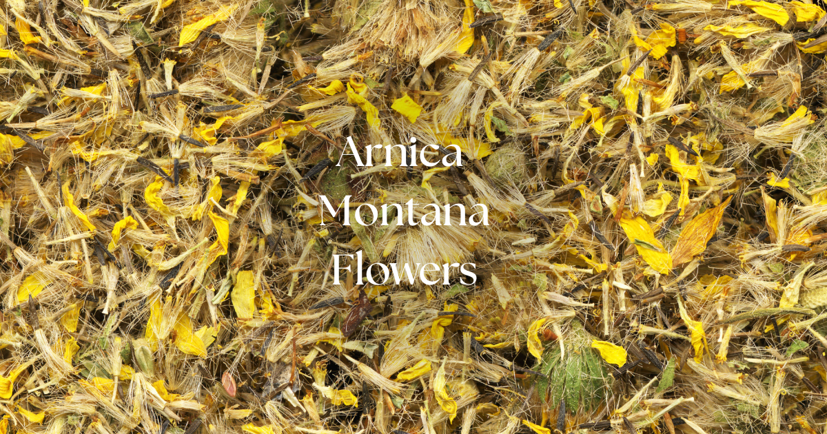 Arnica Muscle Rub | Cooling Herbal Comfort for Body & Mind