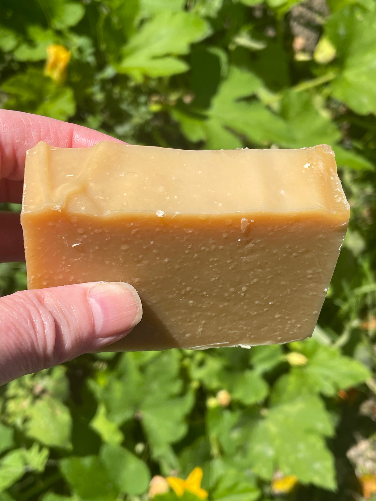 Oh My Gourd Goat Milk Soap | Real Pumpkin & Warm Spice