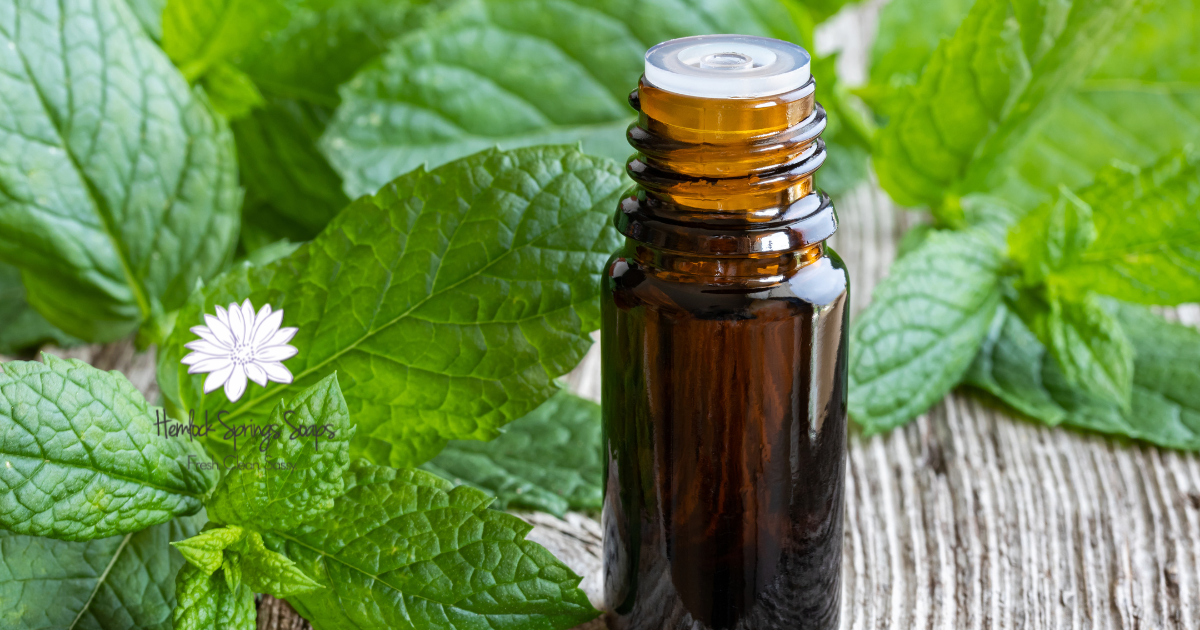 Peppermint Essential Oil