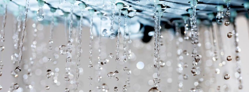The 5-Minute Shower Ritual That Can Change Your Whole Day