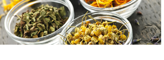 The Herbs I Always Come Back To (and Why I Love Them)