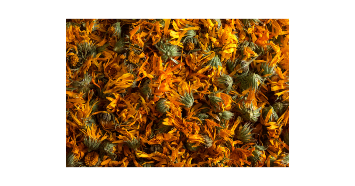 dried calendula
