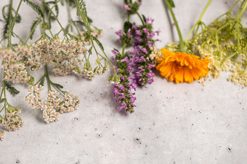 Herbal Tinctures | 1 oz
