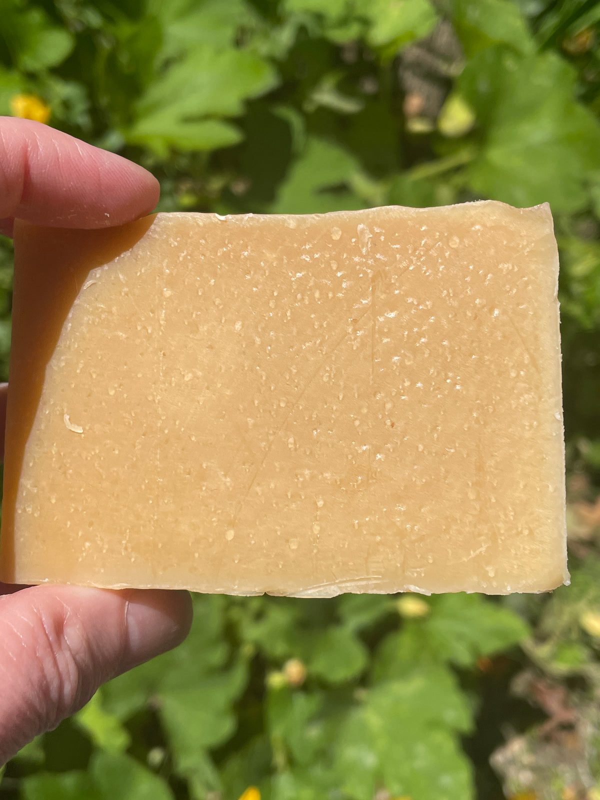 Oh My Gourd Goat Milk Soap | Real Pumpkin & Warm Spice