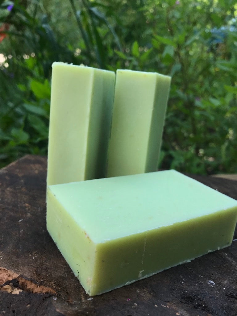 Lightly Buzzed In Sherwood Forest Soap